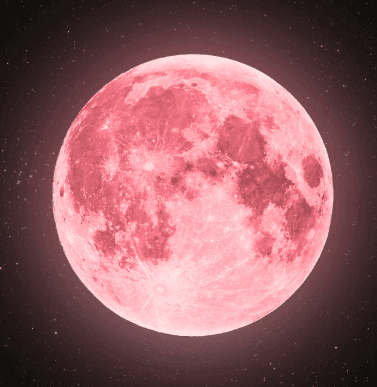 Strawberry Full Moon Gathering
